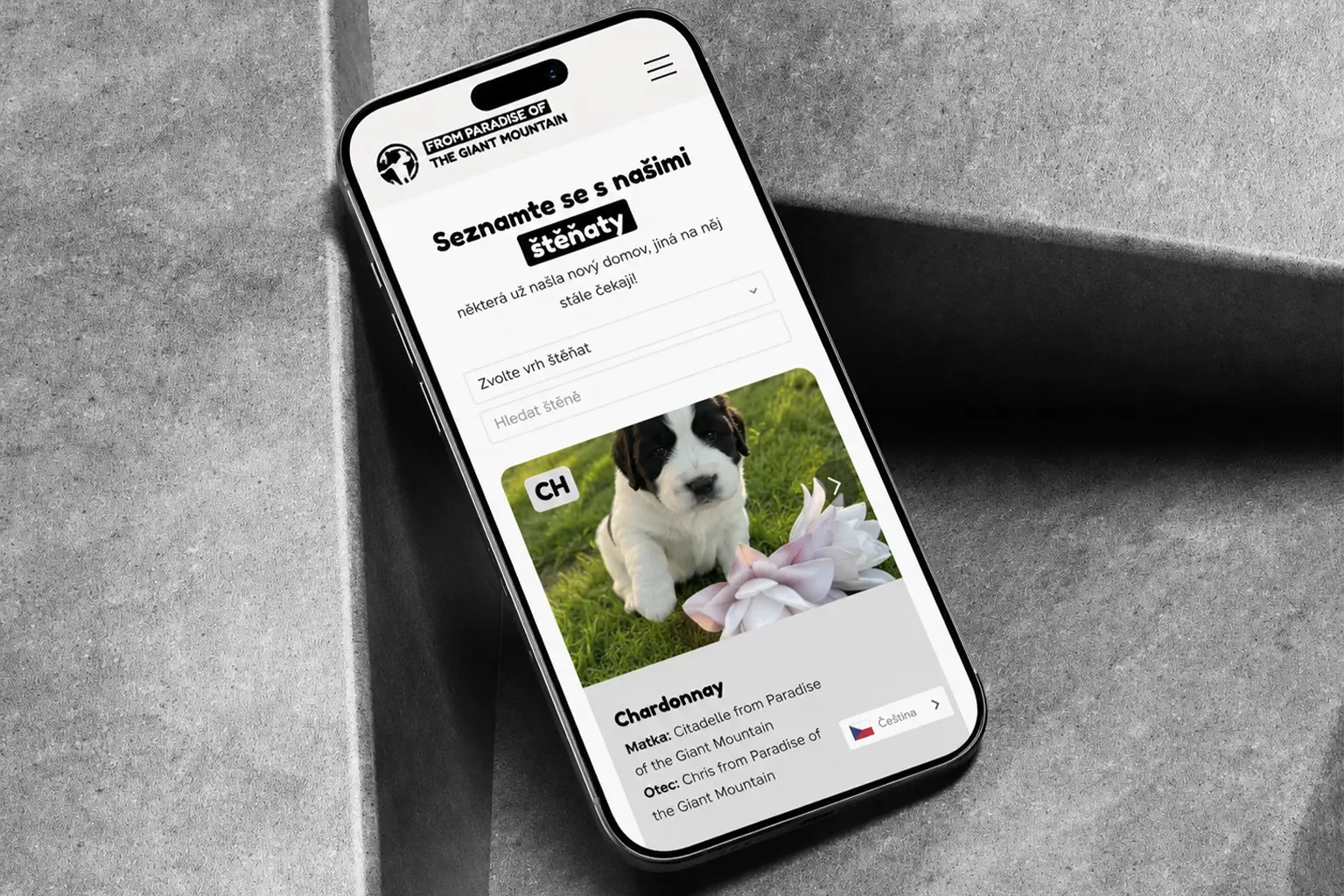 Elegant web design - naše reference - Landseer z Krkonoš